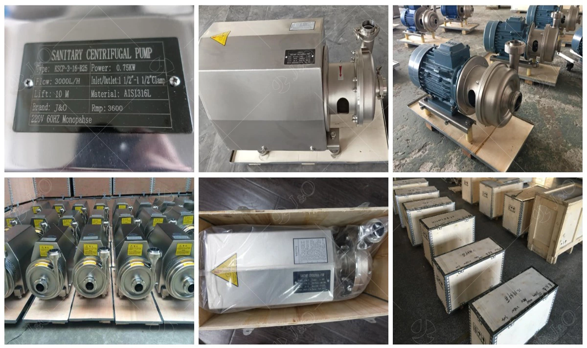 Sanitary Stainless Steel Self-Priming Pump