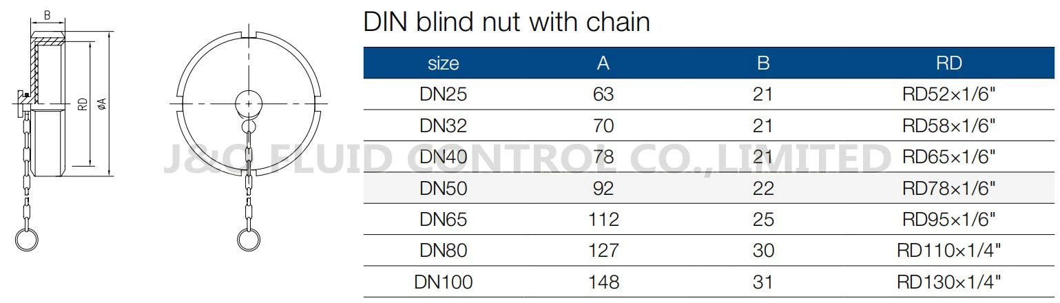 Sanitary Stainless Steel DIN Blind Nut With Chain