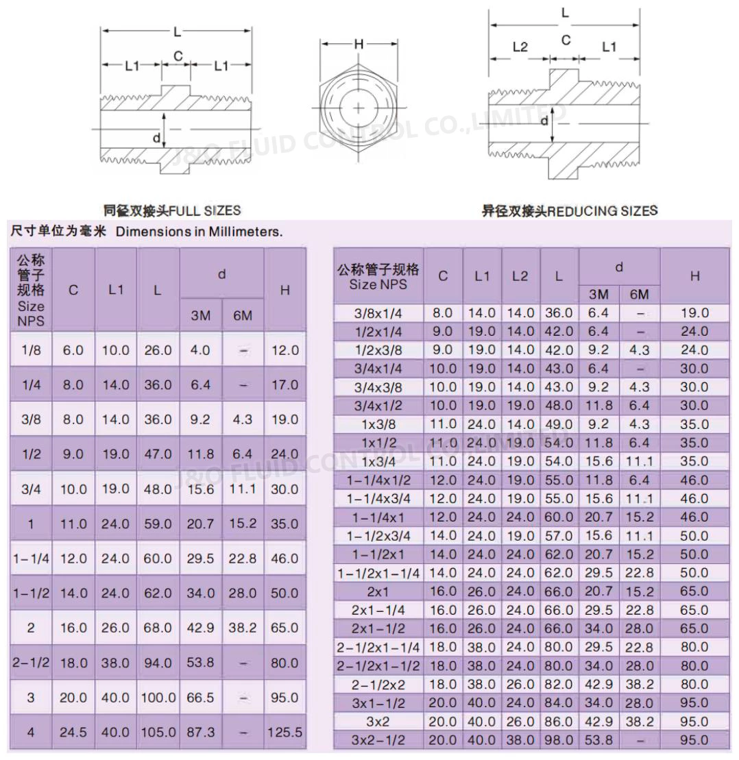 Hex Nipple Forged Steel Pipe Fittings