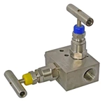 Female End 2 Valve Manifolds