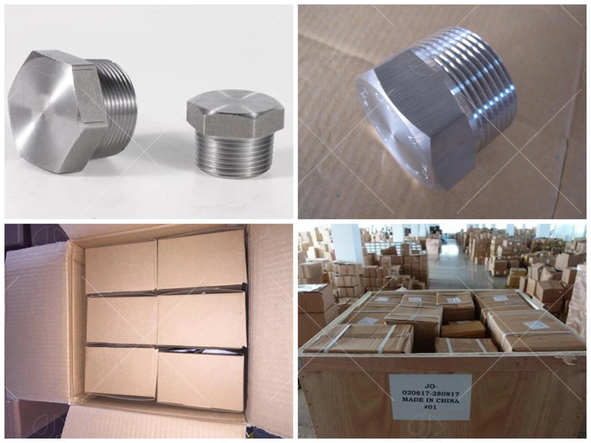 Forged Steel Hex Plug