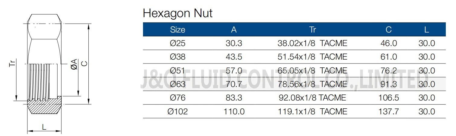 Sanitary Stainless Steel IDF Hexagon Nut