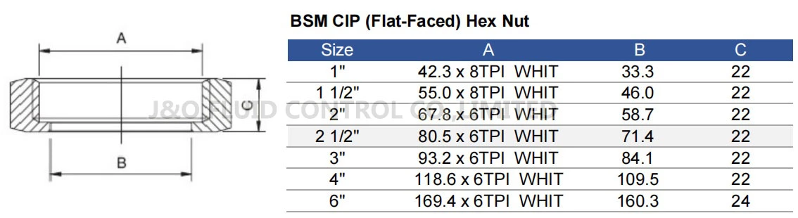 Sanitary Stainless Steel BSM CIP Hexagon Nut