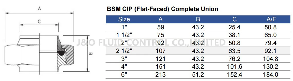 Sanitary Stainless Steel BSM CIP Union