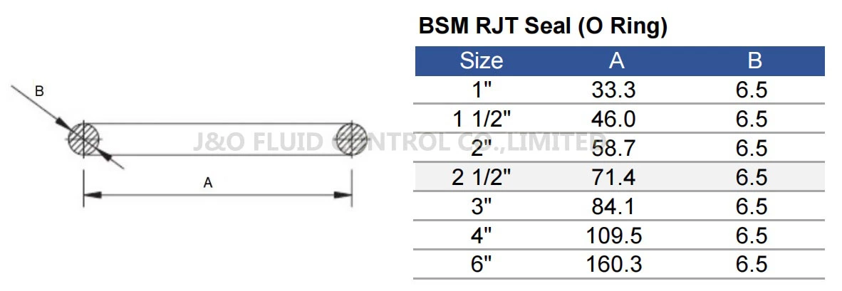Sanitary BSM RJT Hex Union EPDM Gasket