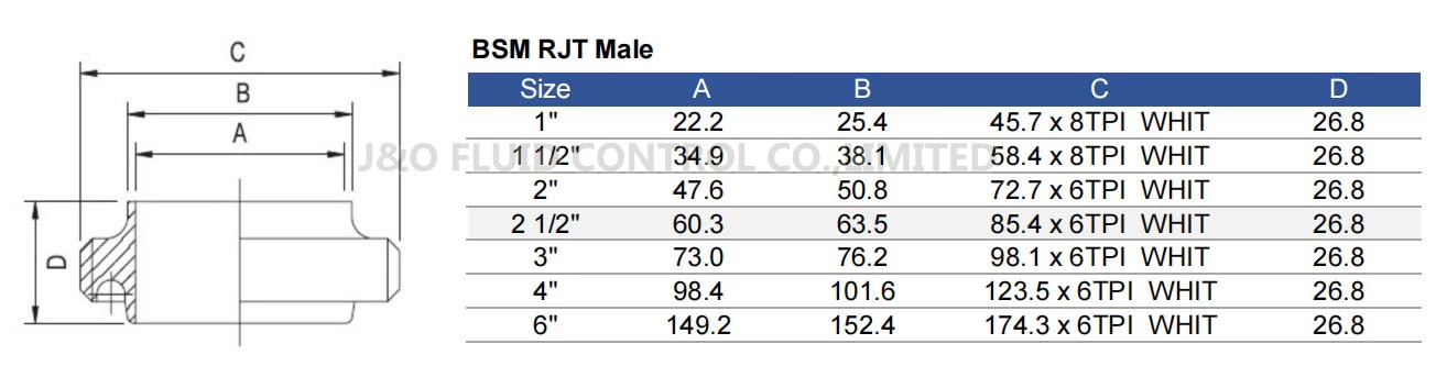 Sanitary Stainless Steel BSM RJT Union Male