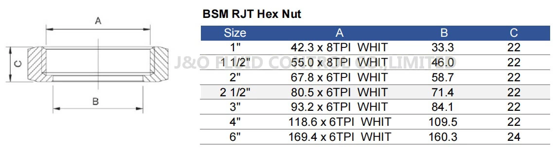 Sanitary Stainless Steel BSM RJT Hexagon Nut