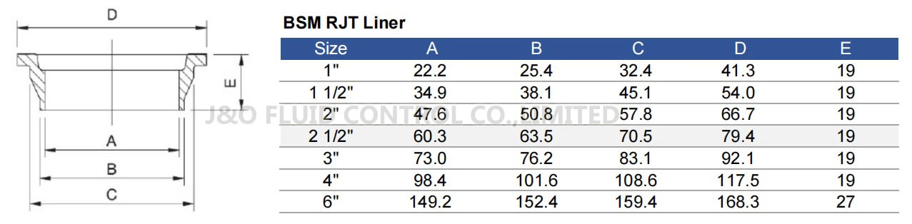 Sanitary Stainless Steel BSM RJT Union Liner