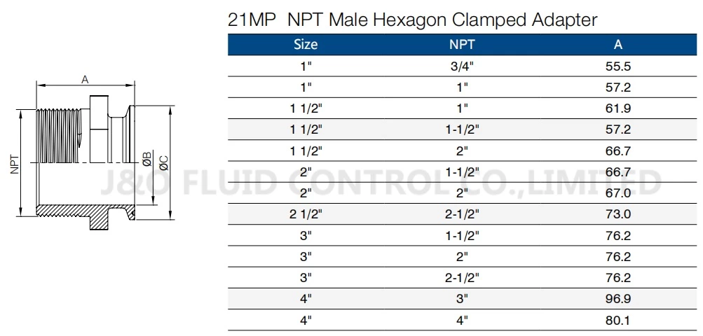 21MP Sanitary Stainless Steel Hexagone Male-Clamped Adapter