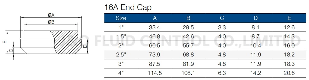 Sanitary Stainless Steel Solid End Cap